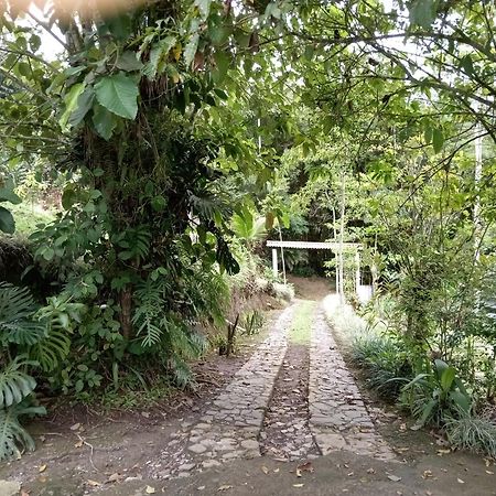 Hotel Green Mountain ตูร์เรียลบา ภายนอก รูปภาพ